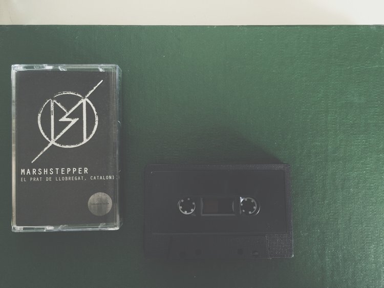 03 Marshstepper 