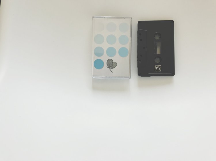 Anders Brørby / Oomny Mozg - Heteroticisms Volume 3 (Land Animal Tapes / Kotaktu Collective)