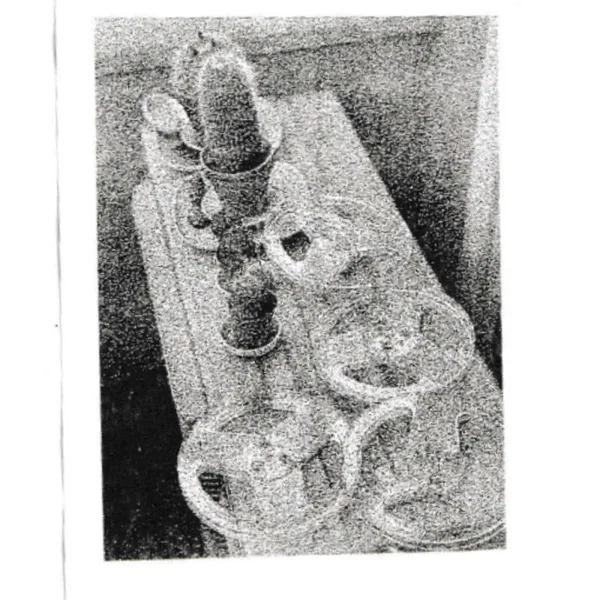 Standard Grey - Things Thinging (Molt Fluid · 2026)