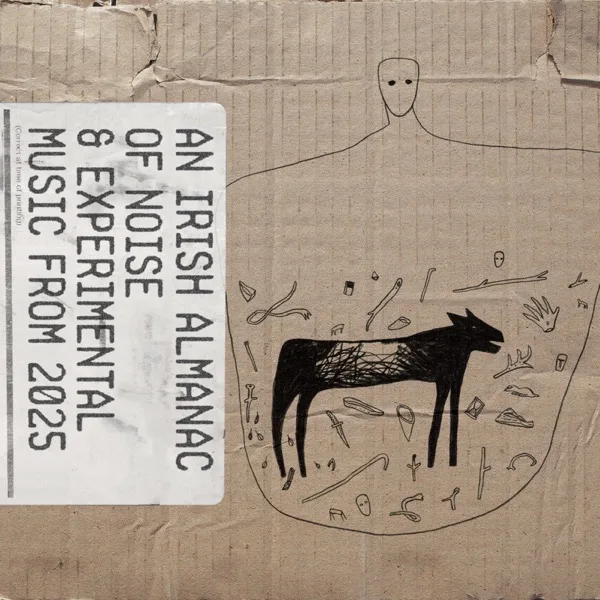 Various Artists - An Irish Almanac of Noise and Experimental Music From 2025 (Nyahh Records · 2025)